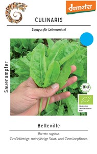 BIO Sauerampfer Belleville