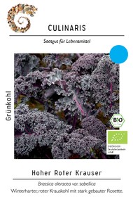 BIO Grünkohl Hoher roter Krauser BIO Grünkohl Hoher roter Krauser