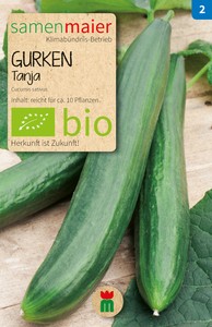 BIO Tanja Freiland-Salatgurke