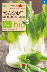 BIO Asia-Salat Senfkohl (Pak Choi) BIO Asia-Salat Senfkohl (Pak Choi)