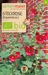 BIO Stockrose (Bauernrose) einfache dunkelrot