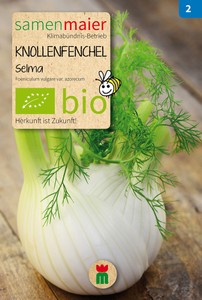 BIO Knollenfenchel Selma BIO Knollenfenchel Selma