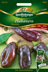 Chili Habanero Chocolate Chili Habanero Chocolate
