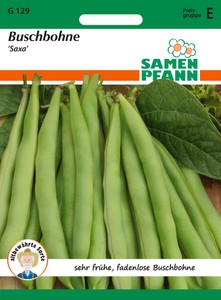 Buschbohne Saxa