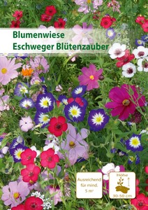 Eschweger Blütenzauber 5 m²