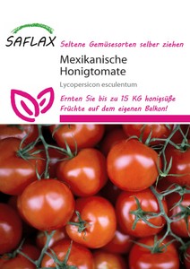 Mexikanische Honigtomate Mexikanische Honigtomate