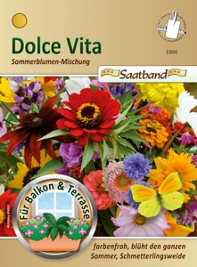 Sommerblume Dolce Vita (Saatband) Sommerblume Dolce Vita (Saatband)