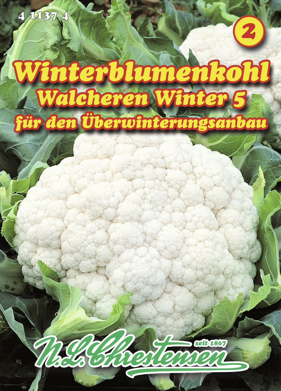 Blumenkohl Walcheren Winter 5 | Blumenkohlsamen von N.L. Chrestensen ...