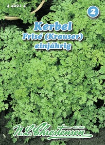 Kerbel Frise Kerbel Frise