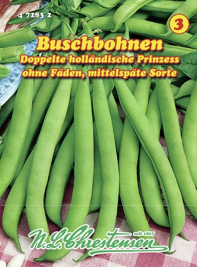 Exotic Seeds - Borlotto Rosso, Buschbohne, 30 Samen - Foto 9