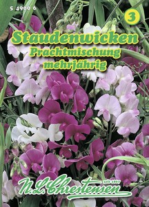 Staudenwicke PrachtMischung Staudenwicke PrachtMischung