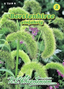 Borstenhirse