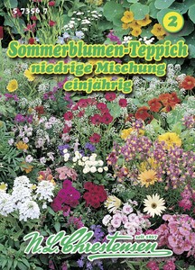 Sommerblumenteppich niedrige Mischung Sommerblumenteppich niedrige Mischung