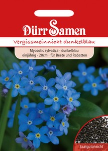 Vergissmeinnicht dunkelblau Vergissmeinnicht dunkelblau