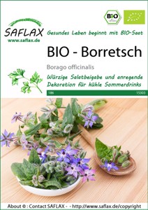 BIO Borretsch [MHD 08/2024]