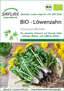 BIO Löwenzahn