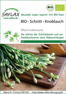 BIO Schnitt-Knoblauch
