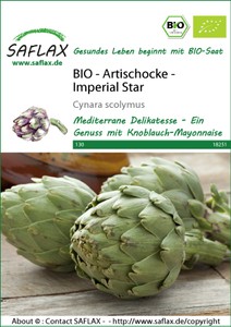 Artischocke Imperial Star
