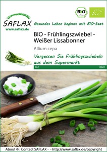 BIO Frühlingszwiebel Weißer Lissabonner