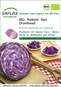 BIO Rotkohl Red Drumhead BIO Rotkohl Red Drumhead