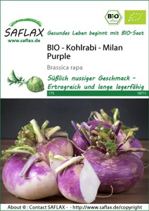 BIO Kohlrabi Milan Purple BIO Kohlrabi Milan Purple