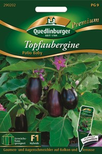 Topfaubergine Patio Baby F1-Hybride