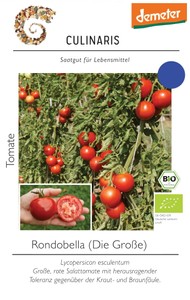 BIO Freilandtomate Rondobella BIO Freilandtomate Rondobella