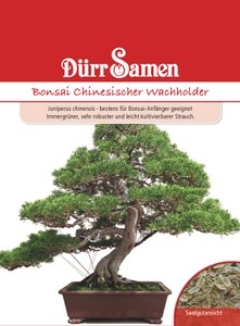 Bonsai Chinesischer Wachholder