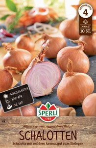 Schalotte Biztro (10 Stück)