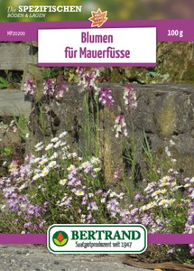 Blumenwiese Mauerfuß (100 g) Blumenwiese Mauerfuß (100 g)