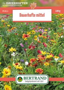 Blumenwiese Mehrjährige niedrige Stauden (100 g) Blumensamen von