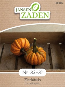 Zierkürbis Nr. 32-31 Zierkürbis Nr. 32-31