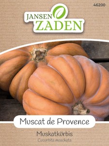 Muskatkürbis Muscat de Provence Muskatkürbis Muscat de Provence
