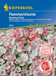 Flammenblume Blushing Bride Flammenblume Blushing Bride