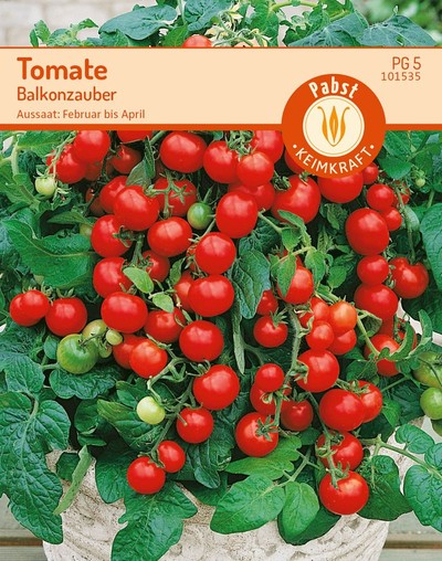 Tomate Balkonzauber Tomate Balkonzauber