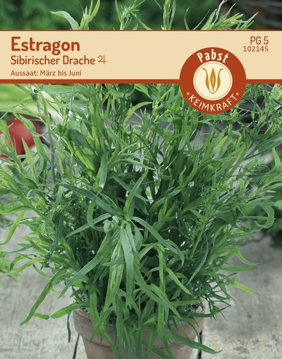 Estragon Sibirischer Drache Estragon Sibirischer Drache
