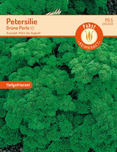 Petersilie Grüne Perle Petersilie Grüne Perle