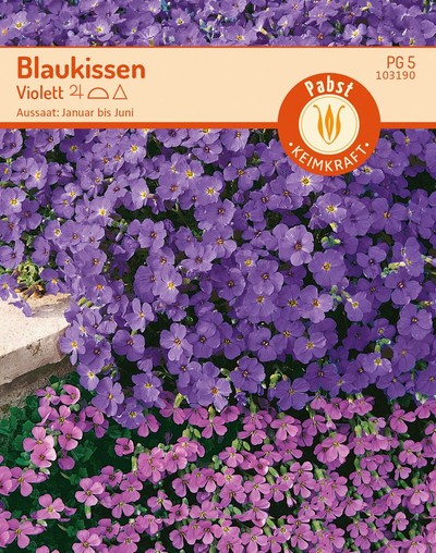Blaukissen Violett Blaukissen Violett
