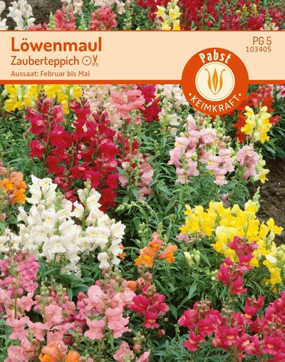 Löwenmaul Zauberteppich Löwenmaul Zauberteppich