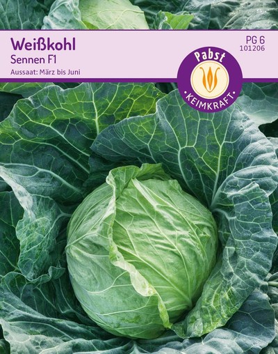 Weißkohl Sennen F1 Weißkohl Sennen F1