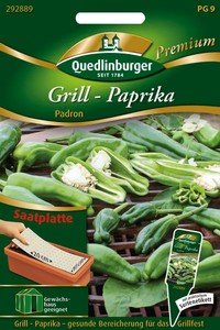 Grill-Paprika Padron (Saatplatte)