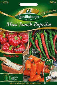 Mini Snack Paprika (Saatplatte) Mini Snack Paprika (Saatplatte)