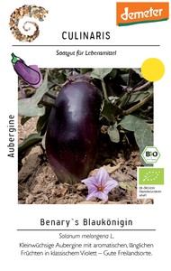BIO Aubergine Benarys Blaukönigin BIO Aubergine Benarys Blaukönigin
