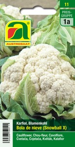 Blumenkohl Bola de nieve (Snowball X)