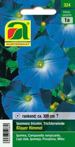 Trichterwinde Blauer Himmel