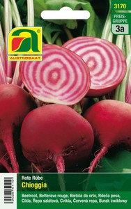 Afrikanische Kletterlilie | Exotische Samen von Saflax | Samenhaus ...