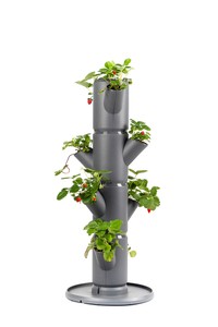 Sissi Strawberry Erdbeerturm starter anthrazit (4 Etagen) Sissi Strawberry Erdbeerturm starter anthrazit (4 Etagen)