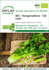 BIO Stangensellerie Tall Utah BIO Stangensellerie Tall Utah
