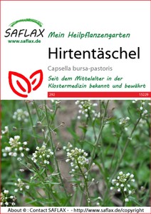 Hirtentäschel