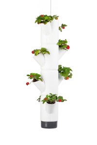 Sissi Strawberry Erdbeerturm hanging weiß (4 Etagen) Sissi Strawberry Erdbeerturm hanging weiß (4 Etagen)
